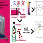 Pubblicazione articolo scientifico estrattore dinamico EXTW-200